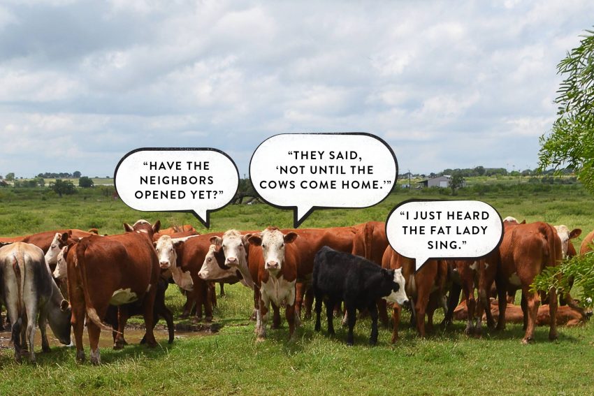 Doug Coors NLand Surf Park Update | Opening Summer 2016