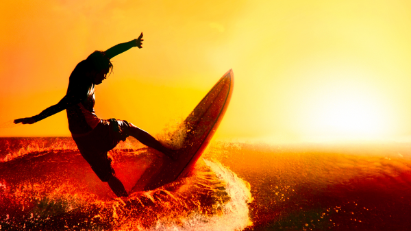 Surf park headlines and news