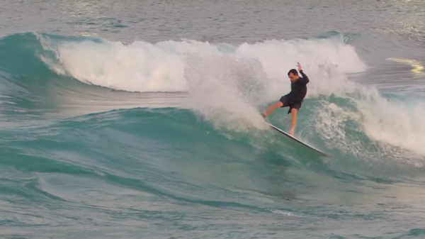 surf park business review