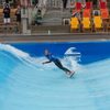 A surfer at the Continental Surf Cup rides a CityWave.